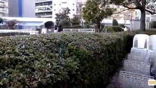 JESSE JANE约到女同学来家中，欲拒还迎刺激啪啪脖子套起来，屁股抽打逼